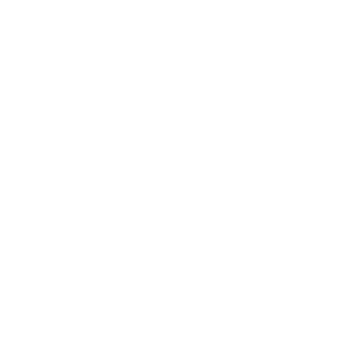 HOLMES JACOB LLC Logo